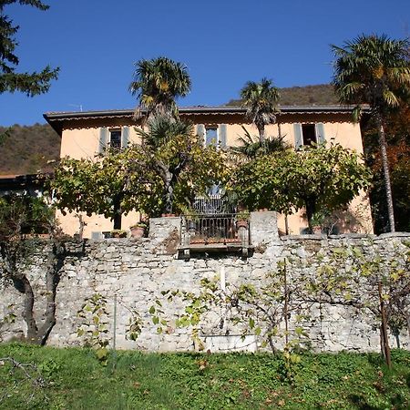 Antico Glicine B&B Maslianico Zewnętrze zdjęcie