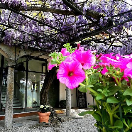Antico Glicine B&B Maslianico Zewnętrze zdjęcie
