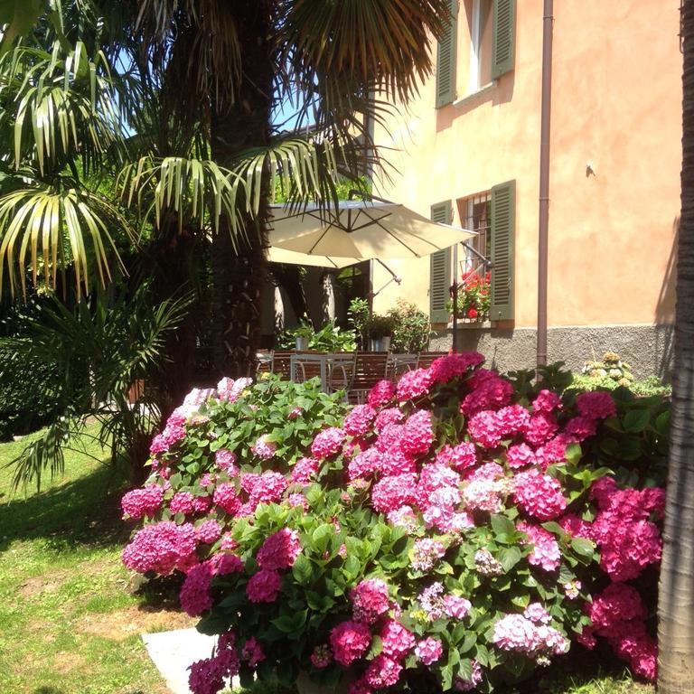 Antico Glicine B&B Maslianico Zewnętrze zdjęcie