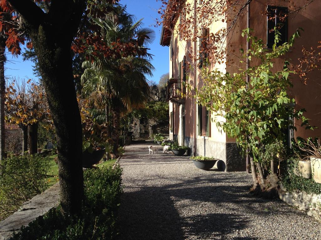 Antico Glicine B&B Maslianico Zewnętrze zdjęcie