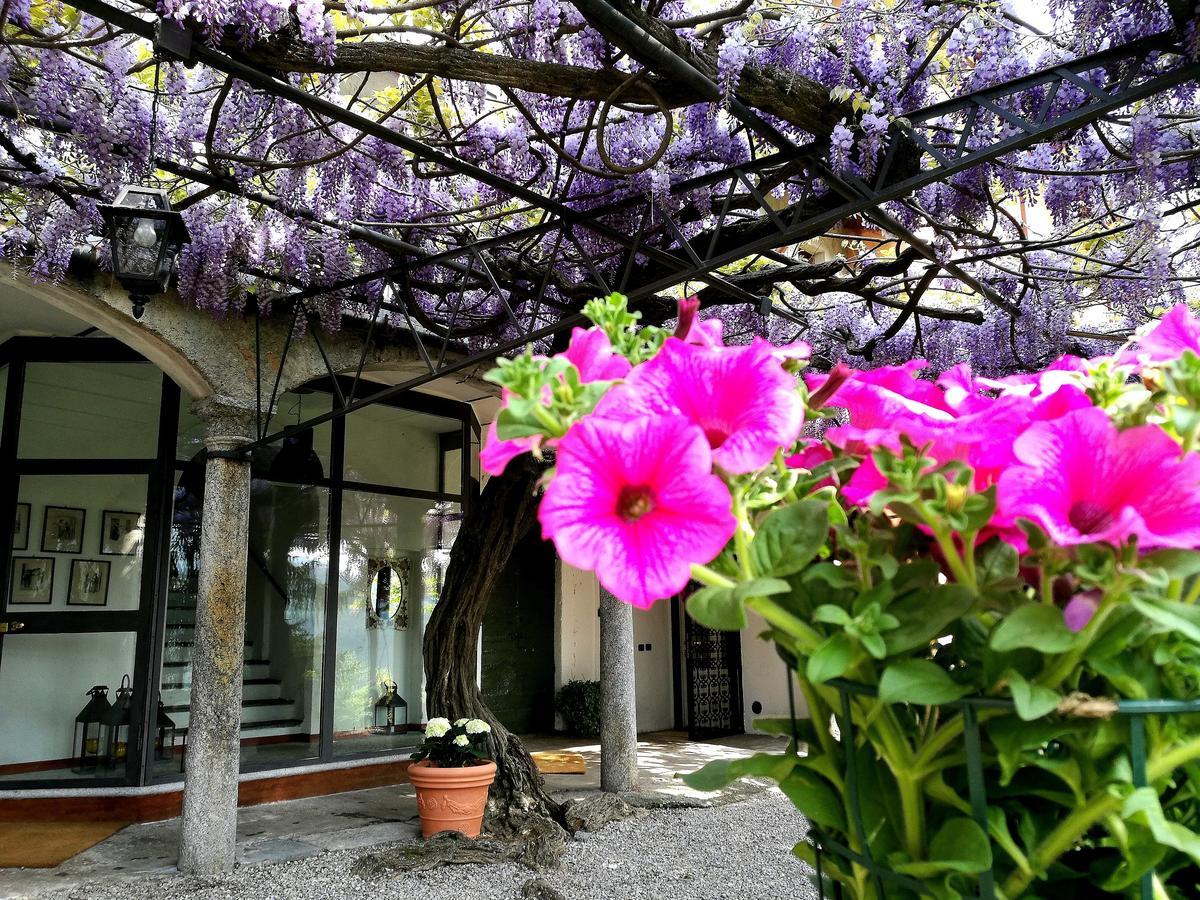 Antico Glicine B&B Maslianico Zewnętrze zdjęcie